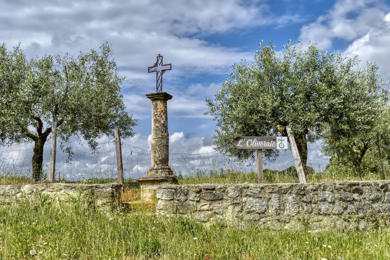 visiter un domaine viticole bio proche de Montpellier dans l'Hérault