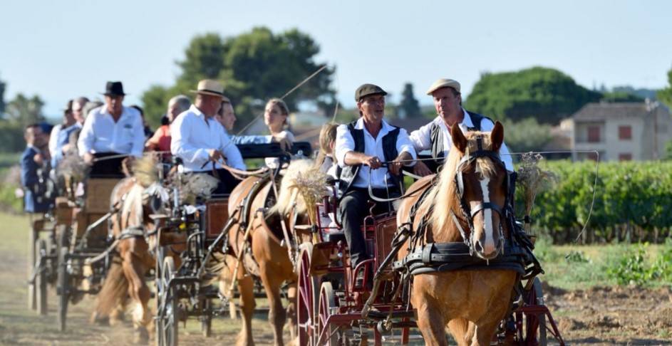 ballade en calèche à Lansargues près de Montpellier dans l'hérault
