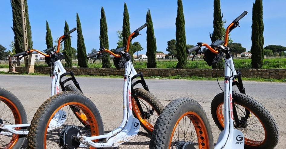 visiter notre domaine viticole en trottinette électrique