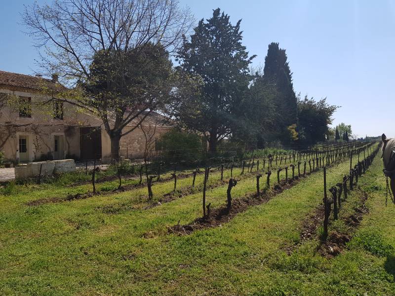 Lieu mariage intimiste avec hébergement proche Montpellier