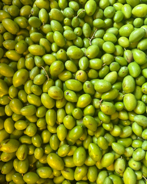 Table d'hôte Lansargues sur domaine viticole entre Nîmes et Montpellier