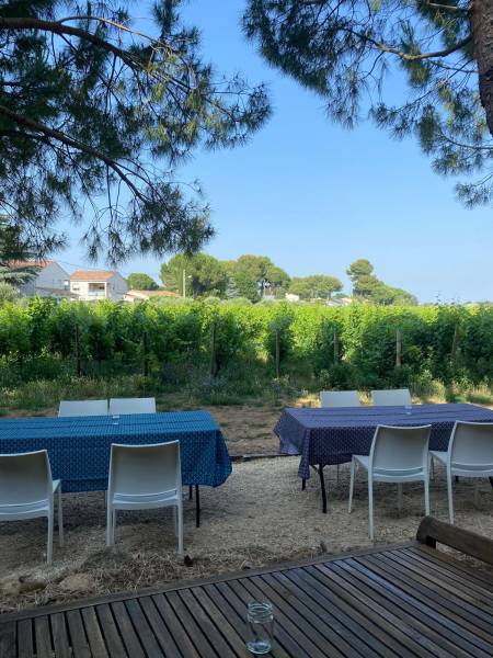 la table de l'Enclos, guinguette près de Montpellier