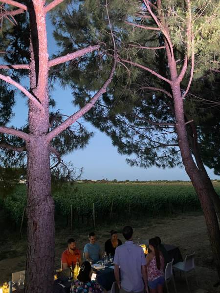 guinguette domaine de l'Enclos de la Croix, Lansargues pres de Montpellier
