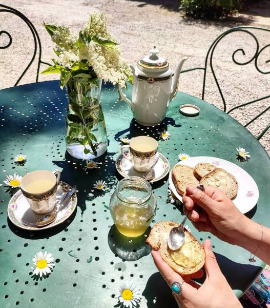 dégustation produits du domaine Enclos de la Croix à Lansargues 34