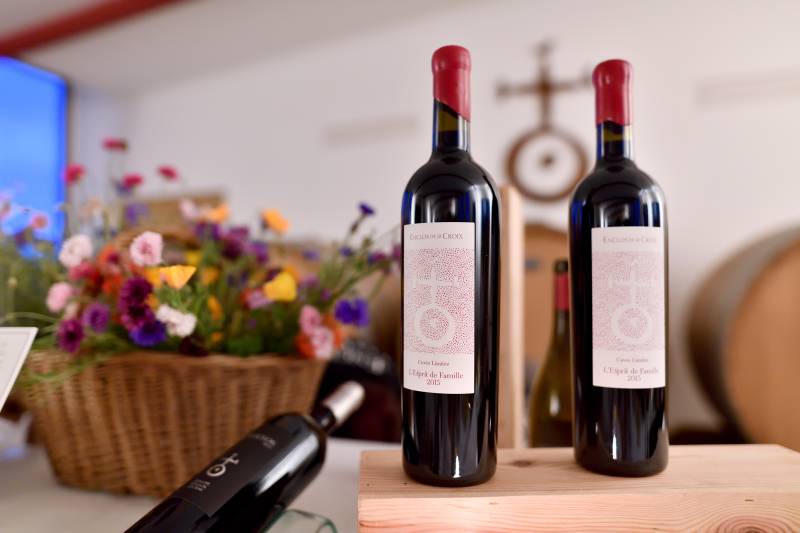 Fête de famille organisée au domaine viticole bio de Lansargues près de Montpellier