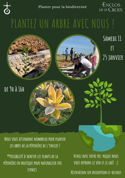plantez un arbre avec nous au domaine Enclos de la Croix à lansargues, dans l'Hérault