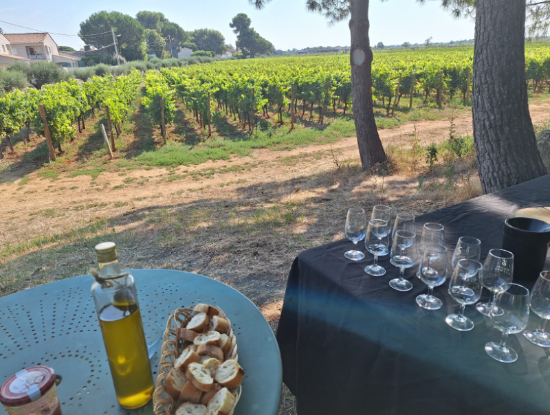 Oenotourisme près de Montpellier en Occitanie, domaine Enclos de la Croix 