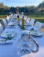 Nos prestations sur le secteur de Mauguio en Occitanie 34